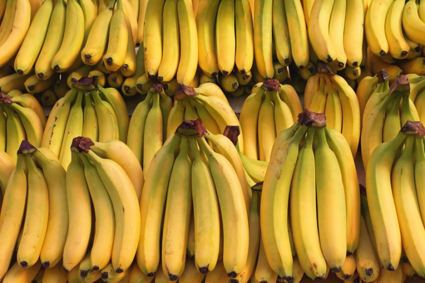 Pisang