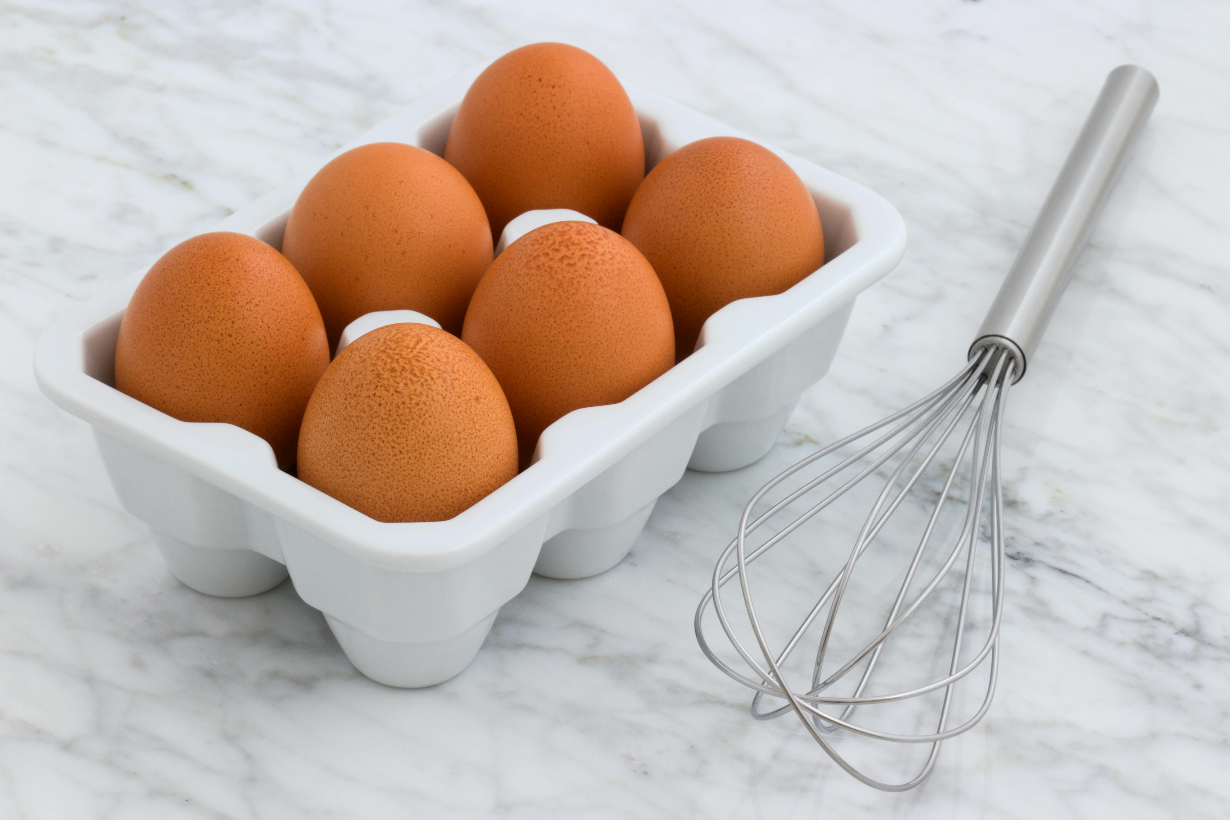 Telur Ayam